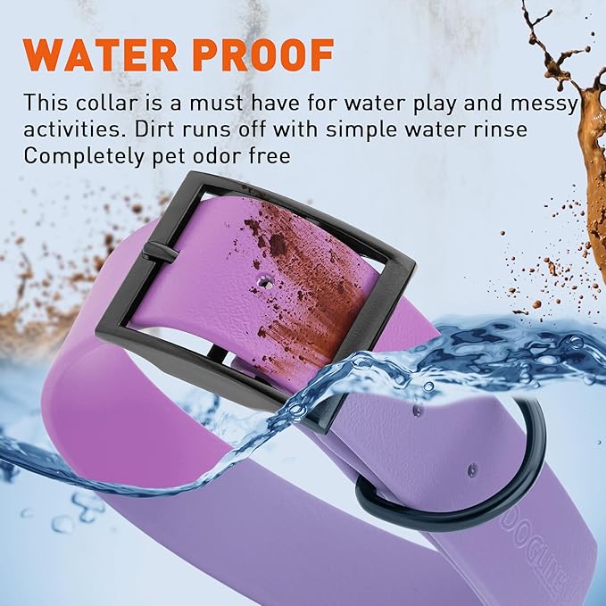 Dogline Biothane Waterproof Dog Collar Strong Coated Nylon Webbing with Black Hardware Odor- Proof for Easy Care Easy to Clean High Performance Fits Small Medium or Large Dogs, Amethyst Purple-PurrikoPets