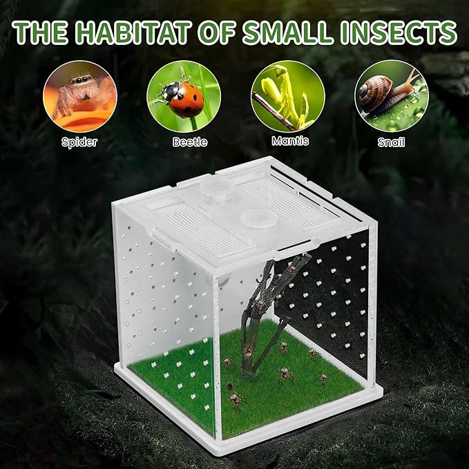 Acrylic Jumping Spider Enclosure, 2.95×2.95×2.87in Transparent Reptile Terrarium, Versatile Tarantula Enclosure for Small Reptiles/Insects, Small Reptile Tank with Dropper, Jumping Spider Accessories-PurrikoPets