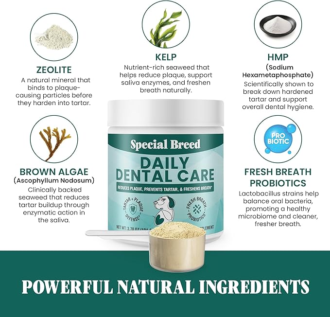 Dog Teeth Cleaning Powder – Natural Dog Dental Powder for Tartar Control, Fresh Breath & Gum Health – Daily Plaque Remover with Zeolite, Brown Algae, Probiotics & Rosemary – 180 Scoops-PurrikoPets