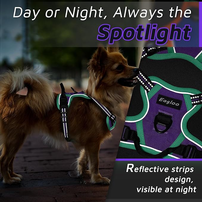 Eagloo Small Dog Harness No Pull, Service Vest with Reflective Strips and Control Handle, Adjustable and Comfortable for Walking, No Choke Pet Harness with 2 Metal Rings, Purple & Green, XS-PurrikoPets