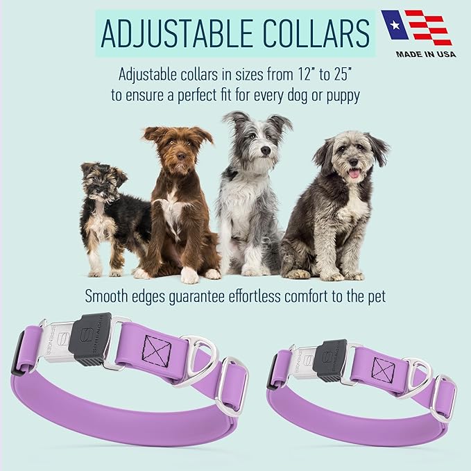 Dogline Biothane Waterproof Dog Collar with Herm Sprenger Stainless Steel Quick Release Buckle – Heavy Duty Tactical Durable Collar for Dogs – Comfortable and Safe Pet Collar, W 1" L 15-25", Amethyst-PurrikoPets