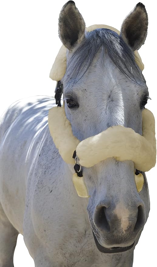 ECP Equine Comfort Products Merino Sheepskin Halter Fleece Set for Horses, 100% Natural Wool, Chafe Protection, Breathable Relief & Cushioned Comfort, Machine Washable, 6-Piece Set-PurrikoPets