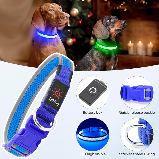 Flashseen LED Dog Collar, Light Up Dog Collar USB Rechargeable, Brightest Dog Lights for Night Walking, Adjustable Dog Collar Light for Dog Safety(Medium, Royal Blue)-PurrikoPets