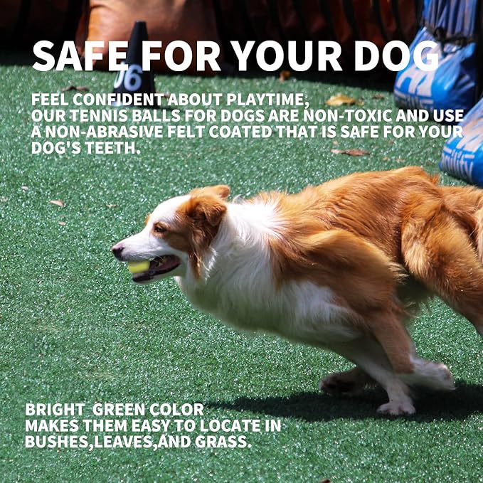 ALL FOR PAWS Interactive Super Bounce Tennis Balls Dog Toy, Pet Safe Toys for Exercise and Training, 2.5 Inch Diameter (6 Pack)-PurrikoPets