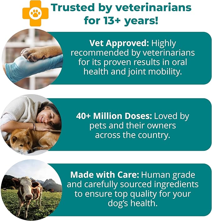 1TDC WorksSoWell Dual Action Joint Supplement for Dogs & Cats - Hip and Joint Supplement for Large Breed & Small Breed - Also Great for Oral Health - Muscle & Stamina Recovery & Arthritis - 60ct-PurrikoPets