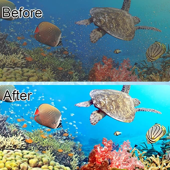 6 Pack Filter Cartridge Compatible with Whisper Bio-Bag Filters 10i/IQ10/PF10, Medium Replacement Filter Cartridges for Aquariums Compatible with ReptoFilte 20 gallons (90 GPH)-PurrikoPets