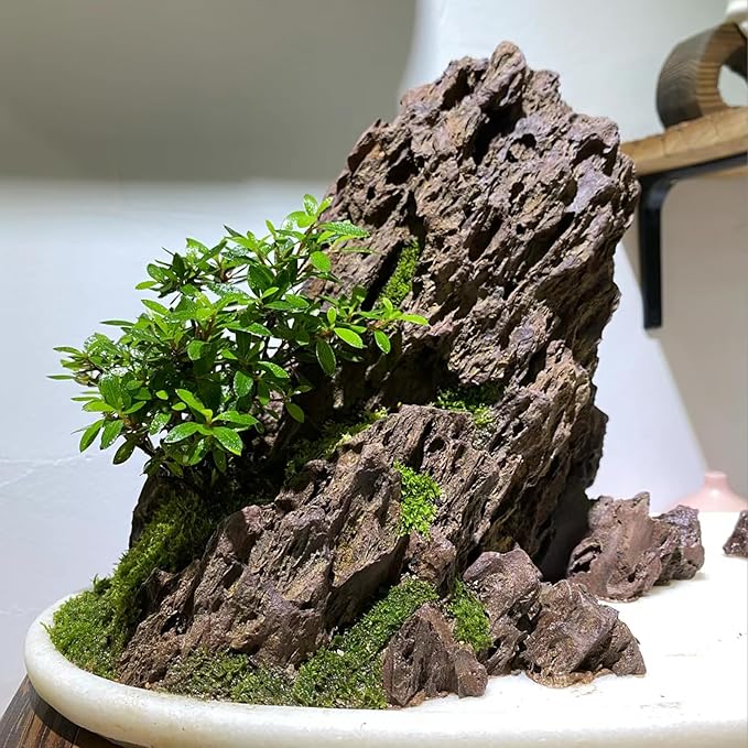 5LB Aquarium Rocks Dragon Stone for Aquariums Landscaping Model Fish Tanks Terrariums Vivariums Model Decoration-2 to 4 Inches-PurrikoPets