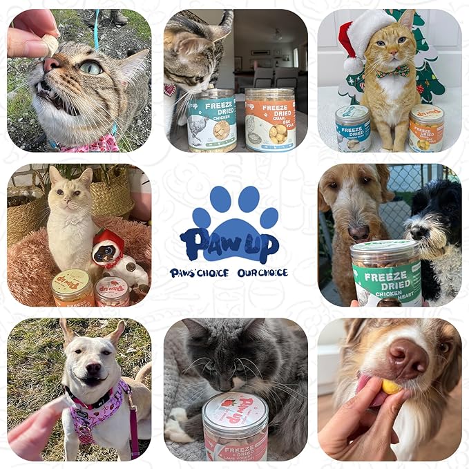 Freeze Dried Raw Dog Food, Chicken & Salmon Recipe Dog Food Topper, High Protein, Rawhide Free, Gluten&Grain Free for Dogs, Cats, 5.3oz-PurrikoPets