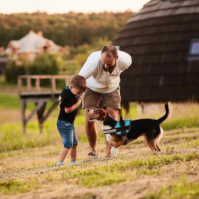 Dogline Dog Harness, Reflective No-Pull Adjustable Vest with Handle for Walking, Training, Breathable, No - Choke Harness for Small, Medium or Large Dogs Room for Patches Girth 15 to 18 in Turquoise-PurrikoPets