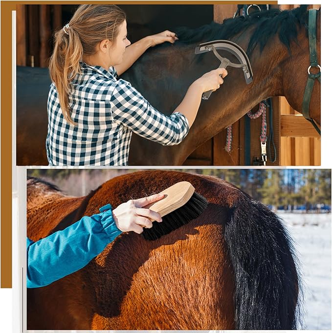 Abbylike 12 Pieces Horse Grooming Kit Racing Festival Tack Room Supplies Horse Brush Sets Equine Care Cleaning Kit Shedding Grooming Massaging Tools(Dark Gray)-PurrikoPets