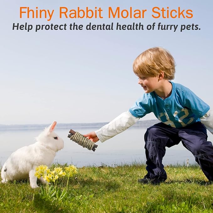 Fhiny 12 PCS Guinea Pigs Chew Toys, Natural Apple Branch Seagrass Molar Sticks for Teeth Bunny Chew Toys Cage Accessories for Guinea Pigs Rabbit Bunny Hamster Chinchilla-PurrikoPets