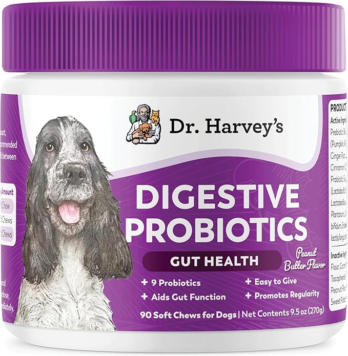 Dr. Harvey's Digestive Probiotic Soft Chews for Dogs, 7 Probiotics for Gut Health, Diarrhea and Bowel Support, Peanut Butter Flavor (90 Chews)-PurrikoPets