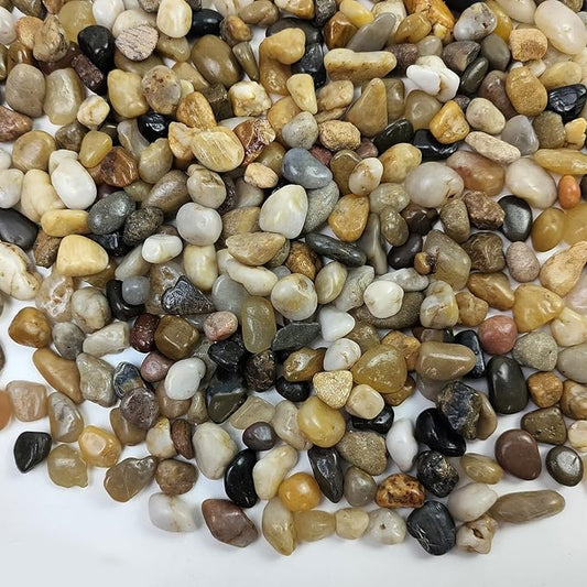 5 lbs Polished Pebbles, 3/8 Inch Pea Gravel for Plants, Decorative Stones River Rocks for Succulent Soil Cover, Cactus, Aquarium, Vase and Outdoor Garden Landscaping-PurrikoPets