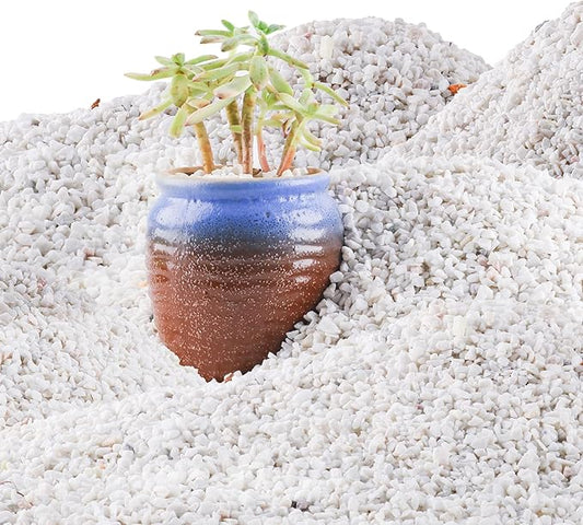 45lb White Cactus Pea Gravel Rocks,1/4 Inch Pebbles for Indoor Plants, Natural Succulent Rock and River Rocks Decorative for Aquariums, Vases, Outdoor Gardening, Top Dressing for Potted Plants-PurrikoPets