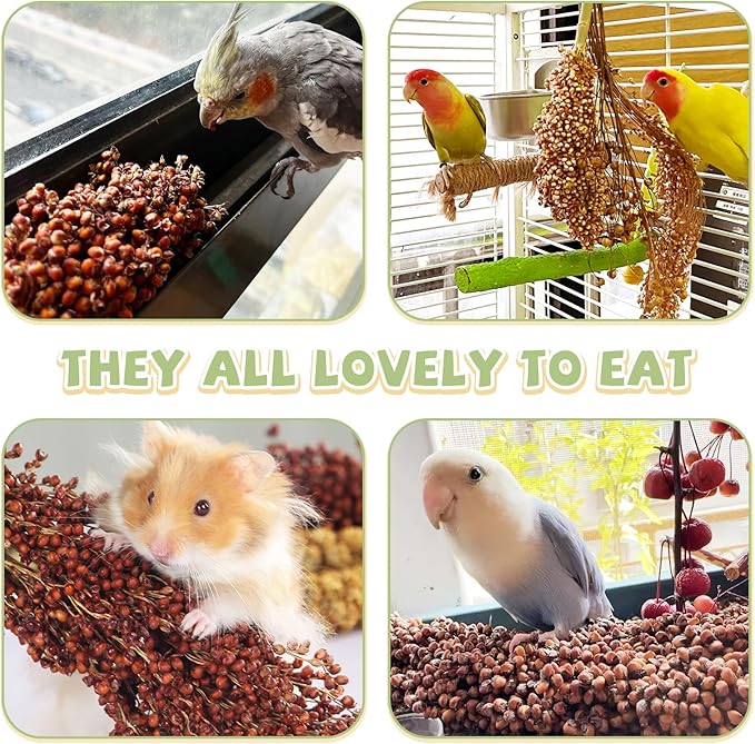 Fhiny Millet Spray for Birds, 3 PCS Natural Sun-Dried Red Sorghum Grain for Birds Seed Original Parrot Treats & Supplement Parakeet Food for Cockatiels Lovebirds Finches Budgies Pigeons Hamsters-PurrikoPets