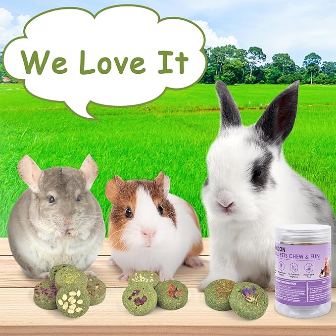 ERKOON Treats Rabbit Toys, 100% Edible Premium Timothy Hay Chew A Blocks for Rabbits, Chinchilla Treats, Chew Toys for Teeth Guinea Pigs and Mice-PurrikoPets