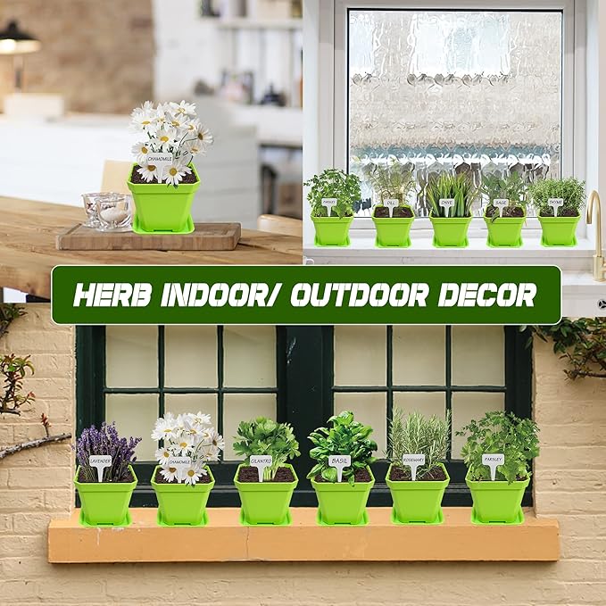10 Herb Seeds Garden Starter Grow Kit with Green Pots, Markers, Nutritional Soil, Watering, Herb Clipper, Complete Indoor Potted Plant Growing Set for Kitchen DIY-PurrikoPets