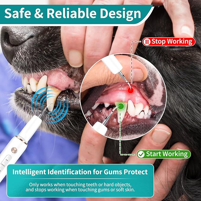 Dog Plaque Tartar Remover, Electric Toothbrush Teeth Cleaner Dental Care Kit for Dogs Cats- 5 Modes LED IPX6 Waterproof Auto-Stop Gum Protection USB Charge, 3 Brush Heads, Pet Teeth Cleaning Tools-PurrikoPets