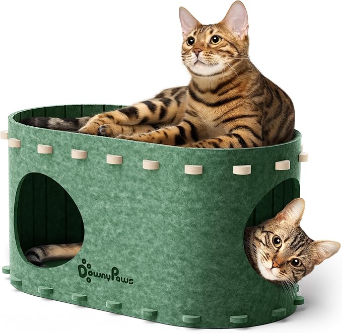 DownyPaws Cat House for Indoor Cats, Cat Bed Cave for Multiple & Large Cats Up to 22 Lbs, Scratch Resistant Peekaboo Cat Caves, Foldable Tunnel Enclosed Bed, PeekaPurr, Forest-PurrikoPets