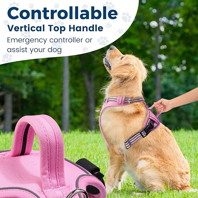 Funfox Dog Harness No Pull, Adjustable Pet Vest Harness, Super Soft Material with Vertical Handle Easy Control, Reflective Night Walking, 2 Leash Clips for Small Sized Dogs, Pink, S-PurrikoPets