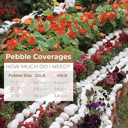 40lbs White River Rocks for Landscaping, 3-4 Inch Large Natural Unpolished Bulk Pebbles, Hand-Picked Premium Stones for Garden Design Fish Tank, Pathways and Backyard-PurrikoPets