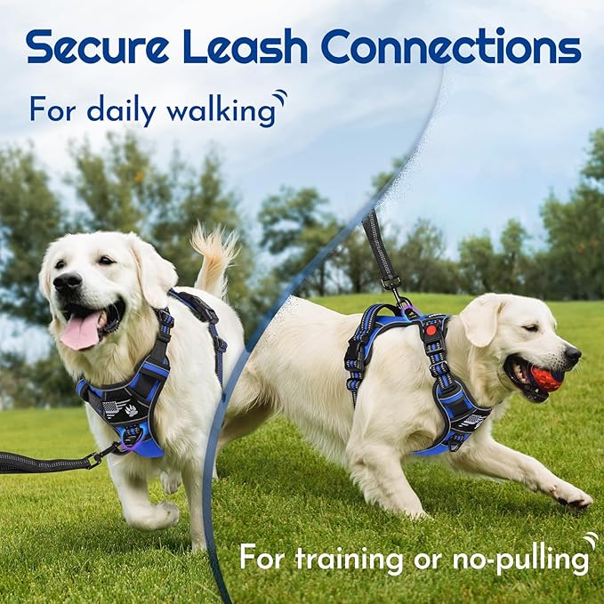 Eagloo Dog Harness Small Sized, Easy Wearing with 3 Buckles, Adjustable No Pull Pet Harness with 2 Rings for Walking, No Chock Reflective Soft Padded Vest with Control Handle, Blue & Black, S-PurrikoPets