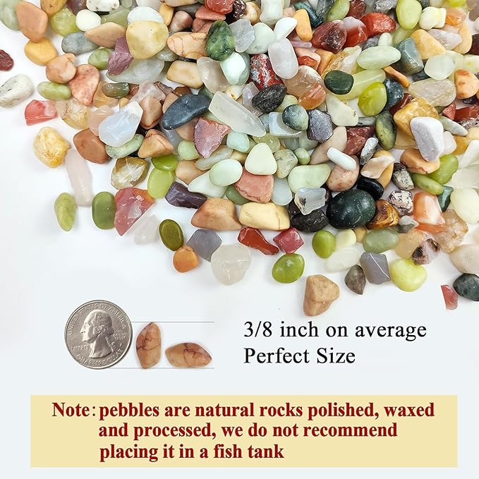 2 Pounds Pebbles for Plants, 3/8 Inch Succulent Rocks, Decorative Polished River Rocks for Plants Indoor, Vases, Cactus Planters, Bird Bath, Craft and Fairy Garden-PurrikoPets