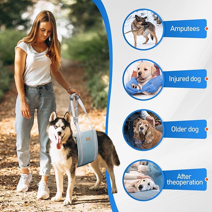 Dog Lift Harness for Large Dogs, Adjustable Dog Sling for Back Legs, Hip Support Harness to Help Lift Dogs Rear for Canine Aid and Old K9 Cruciate Ligament Rehabilitation - Large, Blue-PurrikoPets