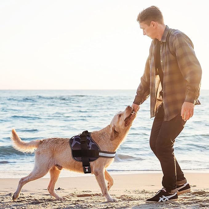 Dogline Dog Harness, Reflective No-Pull Adjustable Vest with Handle for Walking, Training, Breathable, No - Choke Harness for Small, Medium or Large Dogs Room for Patches Girraffe Grey L 27"-34"-PurrikoPets