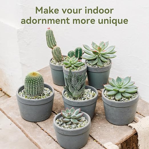 5LB Succulent and Cactus Pebbles, 1/5 Inch Jade Pebbles for Indoor Plants, Decorative Gravel for Vases, Bamboo, Succulent, Terrarium, Crafts, Cactus-PurrikoPets