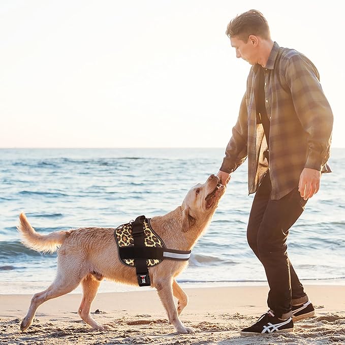 Dogline Dog Harness, Reflective No-Pull Adjustable Vest with Handle for Walking, Training, Breathable, No - Choke Harness for Small, Medium or Large Dogs Room for Patches Leopard Brown M 22"-28"-PurrikoPets