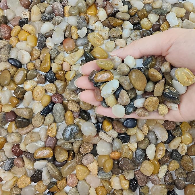5 lbs Polished Pebbles, 3/8 Inch Pea Gravel for Plants, Decorative Stones River Rocks for Succulent Soil Cover, Cactus, Aquarium, Vase and Outdoor Garden Landscaping-PurrikoPets