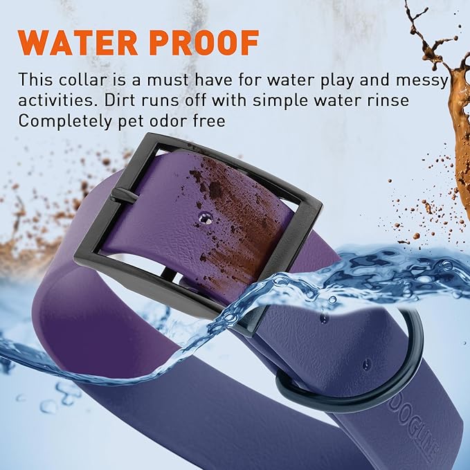 Dogline Biothane Waterproof Dog Collar Strong Coated Nylon Webbing with Black Hardware Odor- Proof for Easy Care Easy to Clean High Performance Fits Small Medium or Large Dogs, Violet Purple-PurrikoPets