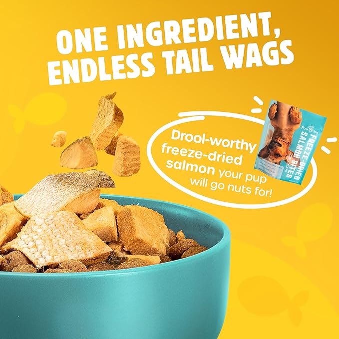 Freeze Dried Dog Treats - Wild Caught Salmon - Dog Food Dry Snacks - with Protein & Omega 3s - for All Breeds & Sizes - No Artificial Flavors & Dyes, No Preservatives - 1 Pouch, 4 oz-PurrikoPets