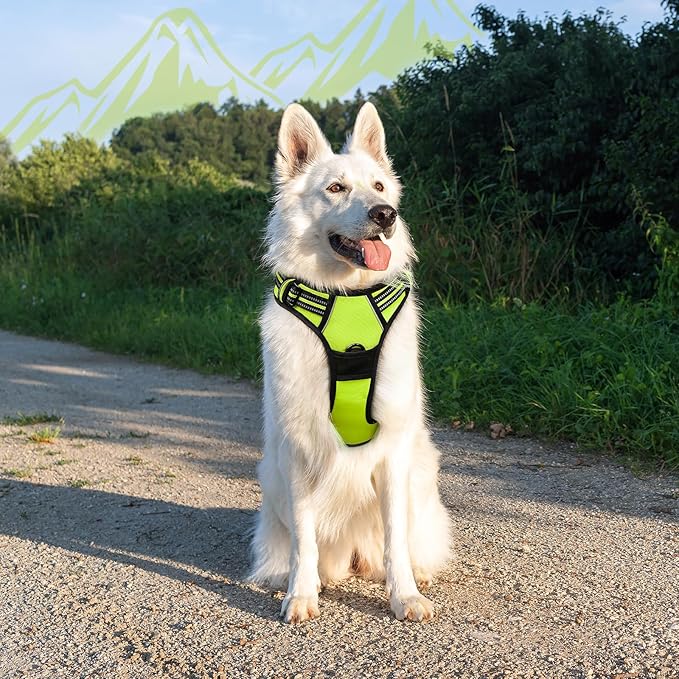 Eagloo Dog Harness Large Breed, No Pull Service Vest with Reflective Strips and Control Handle, Adjustable and Comfortable for Easy Walking, No Choke Pet Harness with 2 Metal Rings, Green, XL-PurrikoPets