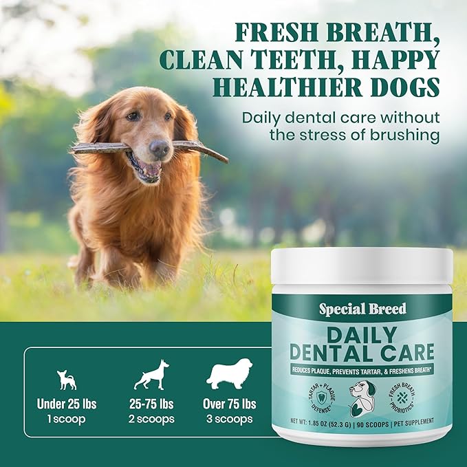 Dog Teeth Cleaning Powder – Natural Dog Dental Powder for Tartar Control, Fresh Breath & Gum Health – Daily Plaque Remover with Zeolite, Brown Algae, Probiotics & Rosemary – 90 Scoops-PurrikoPets