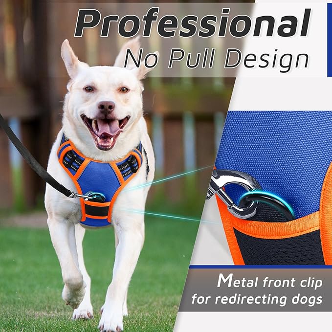 Eagloo Dog Harness Small Sized Dog, No Pull Service Vest with Reflective Strips and Control Handle, Adjustable and Comfortable for Walking, No Choke Pet Harness with 2 Metal Rings, Blue & Orange, S-PurrikoPets