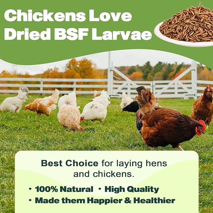 5LB Dried Black Soldier Fly Larvae, 86X Calcium Than Dried Mealworms, High Protein Non-GMO Organic Chicken Feed-PurrikoPets