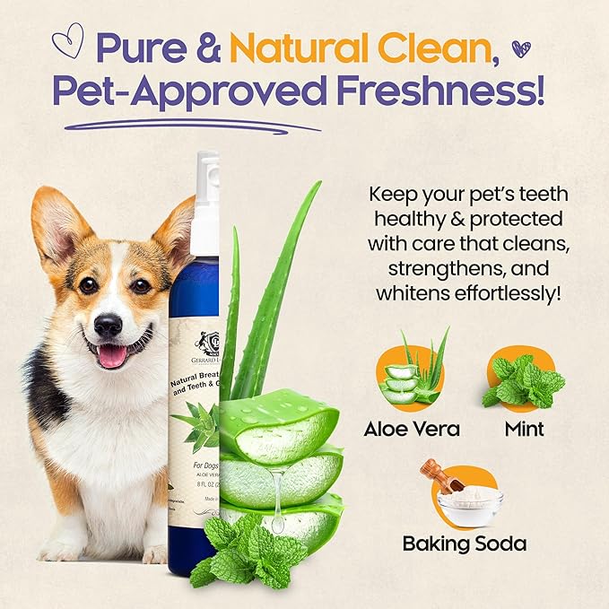 Dog Mouthwash, Dog and Cat Breath Spray with Baking Soda - 8 oz Natural Dog Breath Fresheners with Mint and Aloe Vera Mouth Spray for Tartar Control and Plaque, Dog Teeth Cleaning by Gerrard Larriett-PurrikoPets