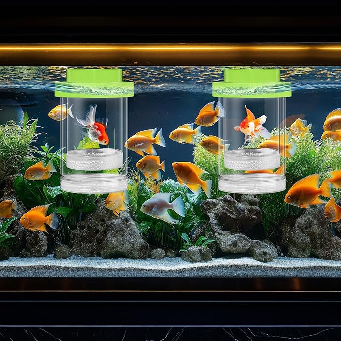 2 Pcs Breeder Box for Fish Tank Aquarium Breeder Separation Net Breeding Box with Suction Cup for Small Fish Shrimp Clownfish Guppy(Green,L)-PurrikoPets