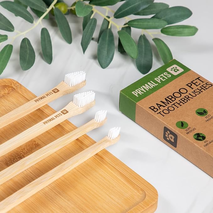 Dog Toothbrush I 4-Pack Two Sided Bamboo Toothbrush for Small and Large Dogs & Cats I Soft Bristles Gentle for Easy Dog Teeth Brushing & Dental Care-PurrikoPets