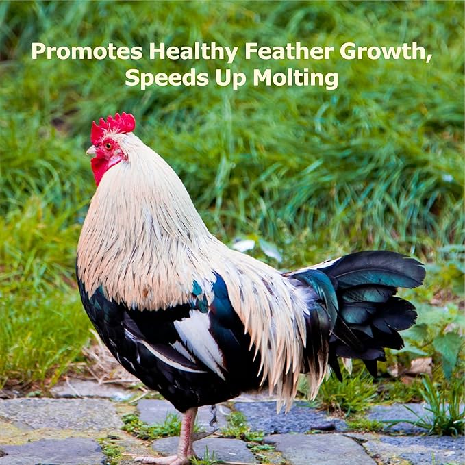 4LB Non-GMO Dried Black Soldier Fly Larvae, More Calcium Than Dried Mealworms, High Protein Chicken Feed, Poultry Treats-PurrikoPets