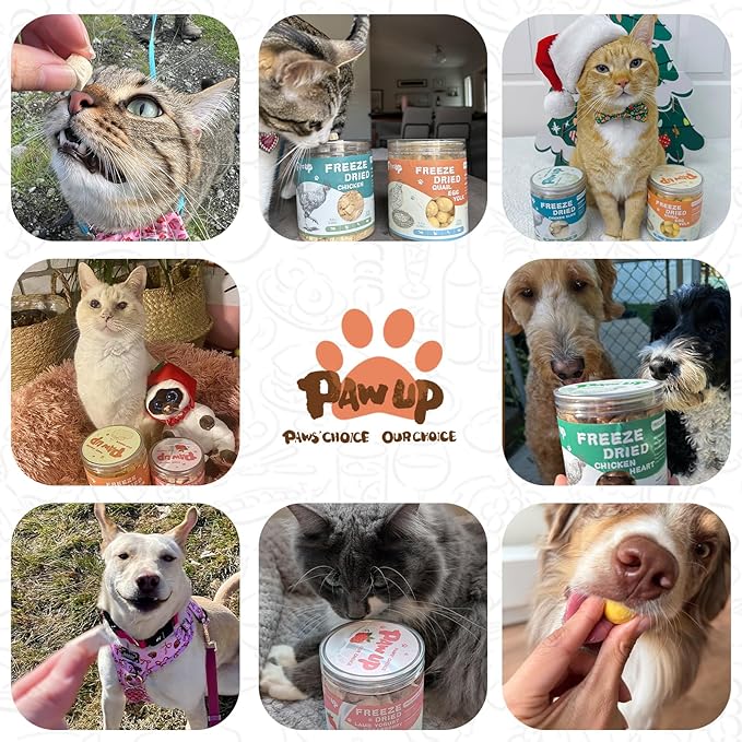 Freeze Dried Salmon Cat Treats, Single Ingredient Raw Cat Food Toppers, Healthy Training Treats for Dogs, Cats, 3.8 oz-PurrikoPets