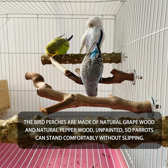 5PCS Bird Perch Stand Natural Wooden Parrot Stand Branch,3 Grape Wood Perch,2 Stand,Paw Grinding Fork Parakeet Chewing Stick Exercise Training Branches for Cockatiels,Small Medium Birds-PurrikoPets