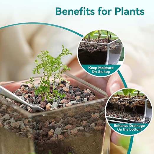 2.5lbs Terrarium Rocks for Pots Indoor, Succulent, Cactus, Bamboo, Bonsai Tree, 1/5 Inch Rocks for Planters Drainage, Mixed Color Small Lava Rocks for Top-Dressing-PurrikoPets