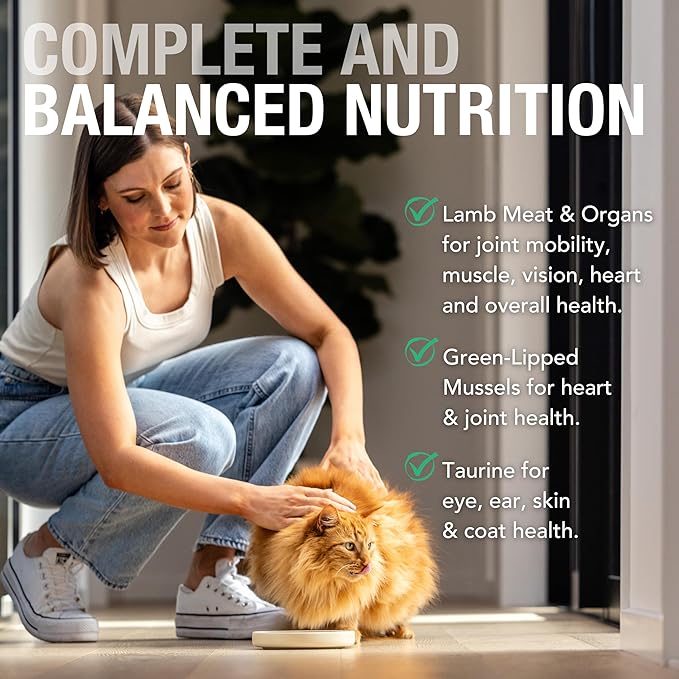 Feline Natural New Zealand Canned Catfood Wet Food, High-Meat, Low-Carb, & Grain Free Cat Food Wet, Lamb Feast, 6 oz, Pack of 12-PurrikoPets