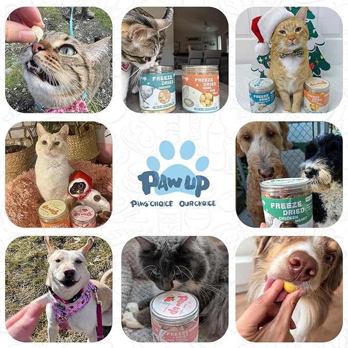 Freeze Dried Sheep Milk Yogurt Flavor, Gentle Sheep Milk Dog Treats for Sensitive Stomachs Puppies, 2.8 oz-PurrikoPets