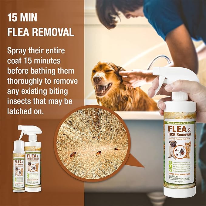 EcoVenger Flea & Tick Removal Spray 16oz for Dogs and Cats, Protects from Fleas, Mites, Ticks & Mosquitoes, eliminates+ Repels+ Housekeeping, Indoors/Outdoors, Plant-Based Formula Safe for Pets & Kids-PurrikoPets