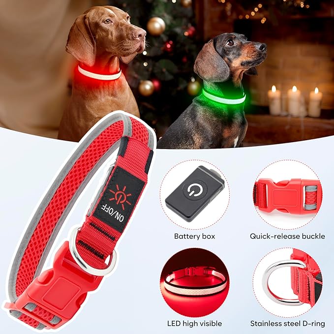 Flashseen LED Dog Collar, Light Up Dog Collar USB Rechargeable, Brightest Dog Lights for Night Walking, Adjustable Dog Collar Light for Dog Safety(Small, Ruby Red)-PurrikoPets