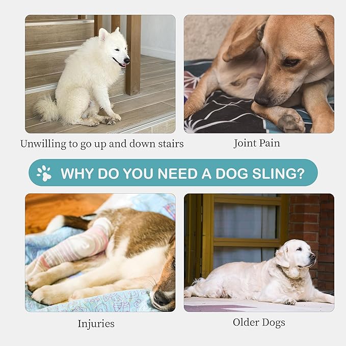 Dog Sling for Medium Dogs Hind Leg Support – Helps with Joint Pain, Mobility Issues, and Ivdd, Rear Leg Lift Harness with Chest Strap, Adjustable Elastic, and Reflective Material, M-PurrikoPets